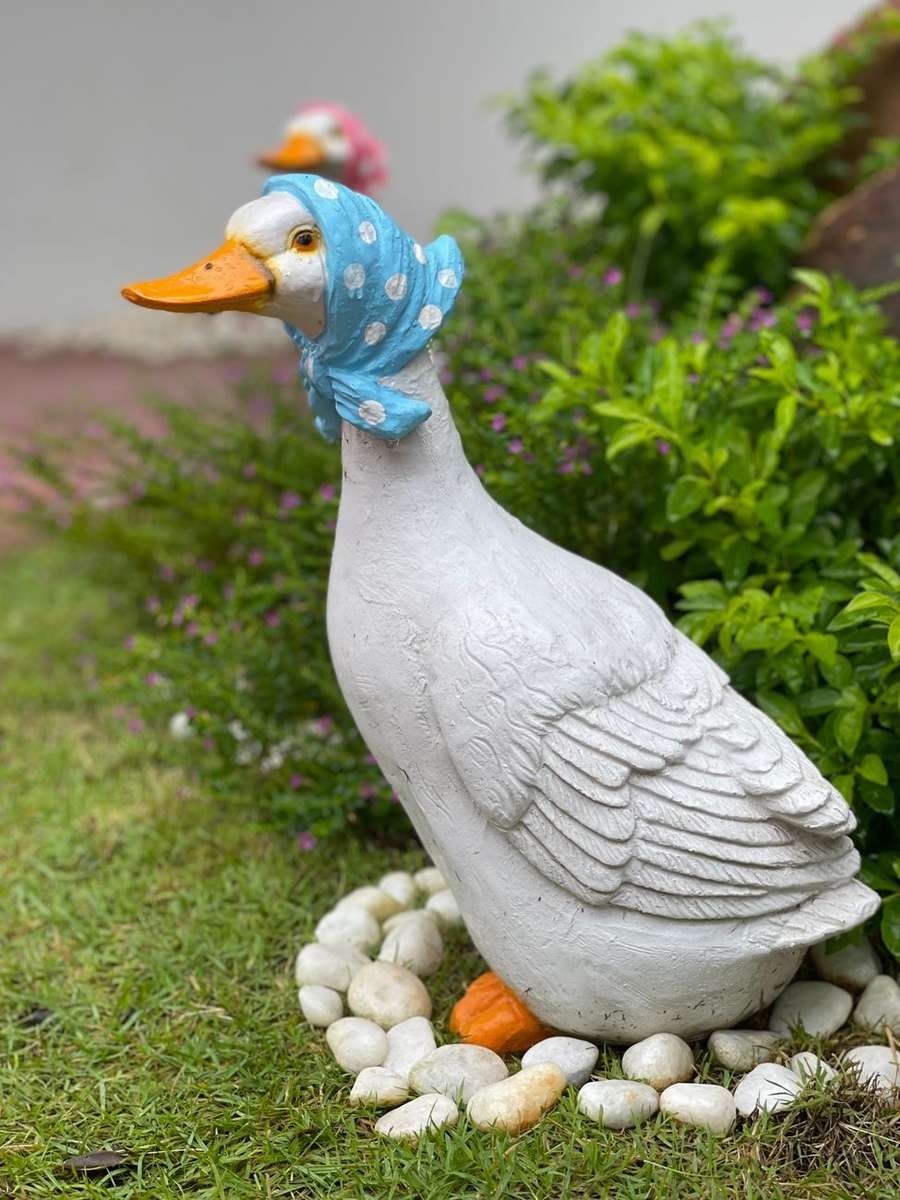 Quackers the Duck